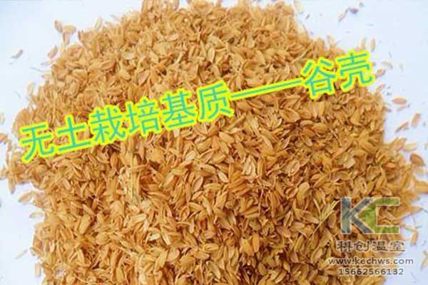 無(wú)土栽培，無(wú)土栽培技術(shù)，無(wú)土栽培設備
