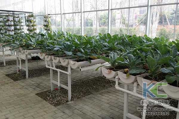 無(wú)土栽培，無(wú)土栽培技術(shù)，無(wú)土栽培設備