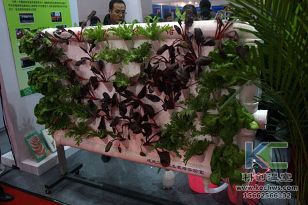 蔬菜大棚無(wú)土栽培，無(wú)土栽培技術(shù)，溫室大棚，大棚