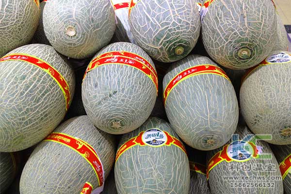 無(wú)土栽培，無(wú)土栽培技術(shù)，無(wú)土栽培設備