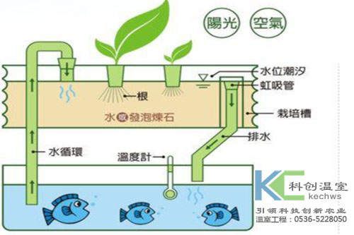 無(wú)土栽培，無(wú)土栽培技術(shù)，無(wú)土栽培設備
