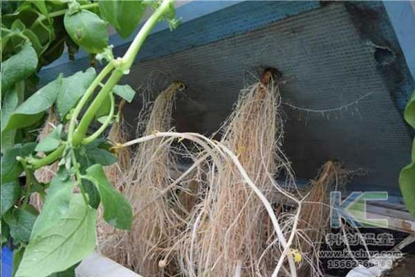 無(wú)土栽培，無(wú)土栽培技術(shù)，無(wú)土栽培設備