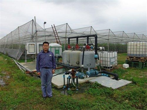 無(wú)土栽培，無(wú)土栽培技術(shù)，無(wú)土栽培設備