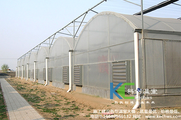 無(wú)土栽培，無(wú)土栽培技術(shù)，無(wú)土栽培設備
