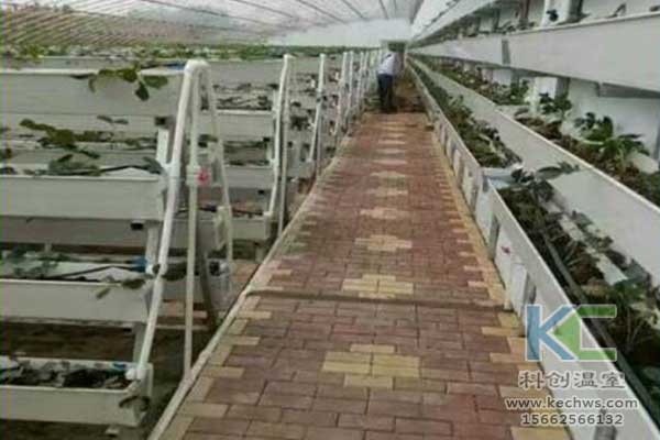 無(wú)土栽培，無(wú)土栽培技術(shù)，無(wú)土栽培設備