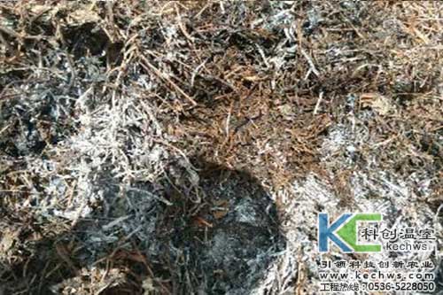 無(wú)土栽培，無(wú)土栽培技術(shù)，無(wú)土栽培設備