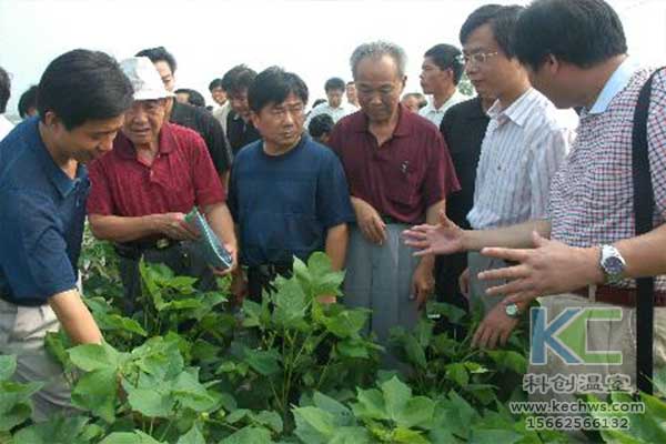 無(wú)土栽培，無(wú)土栽培技術(shù)，無(wú)土栽培設備