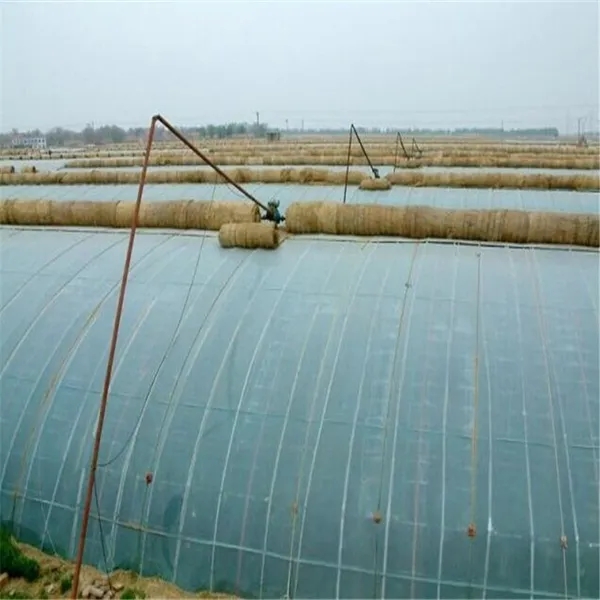 無(wú)土栽培，無(wú)土栽培技術(shù)，無(wú)土栽培設備