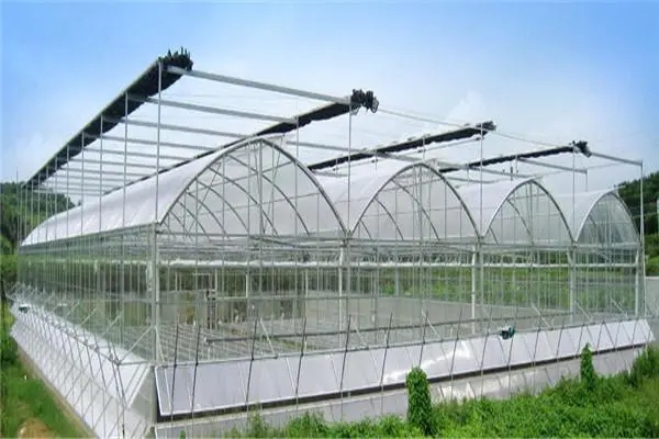 無(wú)土栽培，無(wú)土栽培技術(shù)，無(wú)土栽培設備