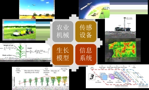 無(wú)土栽培，無(wú)土栽培技術(shù)，無(wú)土栽培設備