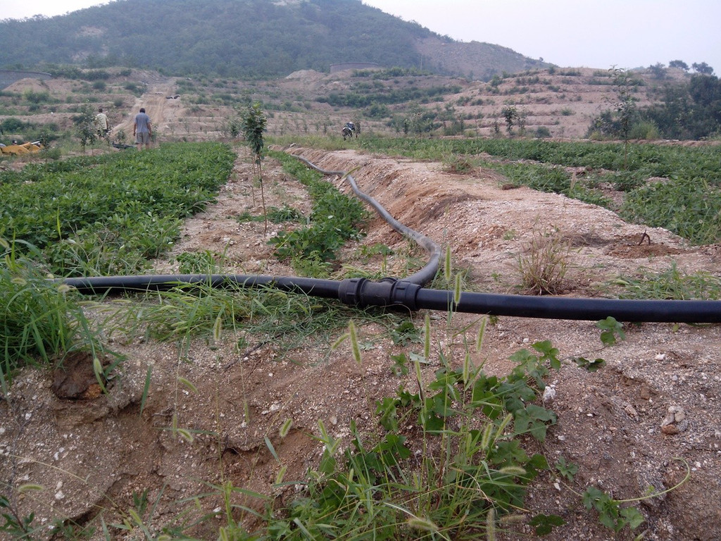 無(wú)土栽培，無(wú)土栽培技術(shù)，無(wú)土栽培設備